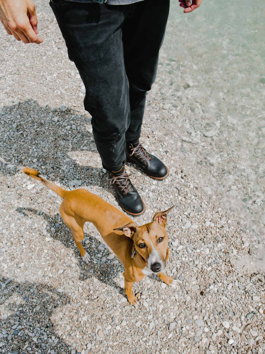 Red Wing Shoes Blacksmith 3345 Black Prairie