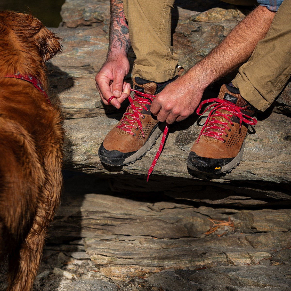 Danner Mountain Trail 2650 Low  - 61272 Brown/Red ( ONLINE ONLY! )