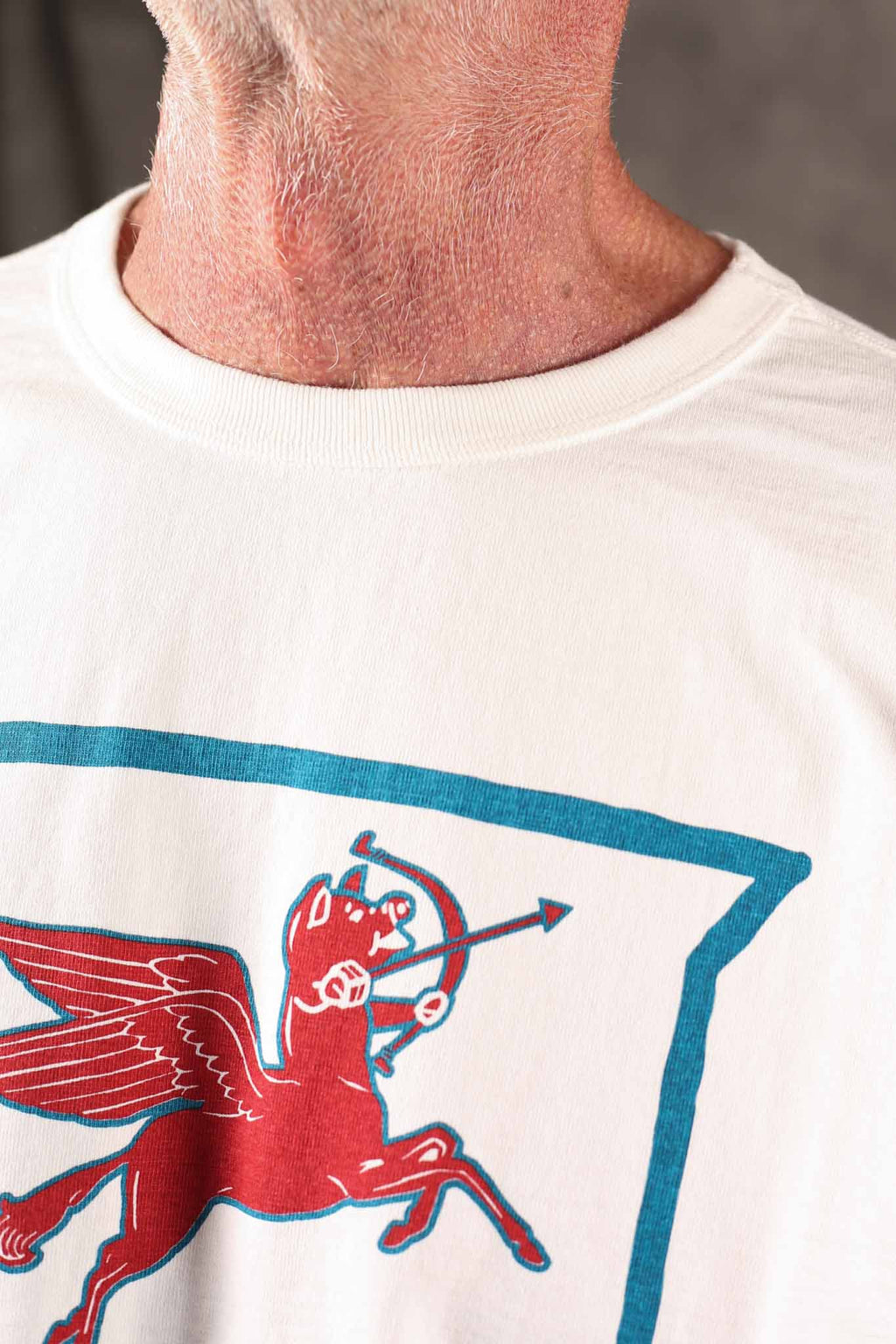 Studio D`Artisan Pigtasus Loopwheel Printed T-Shirt 8231B