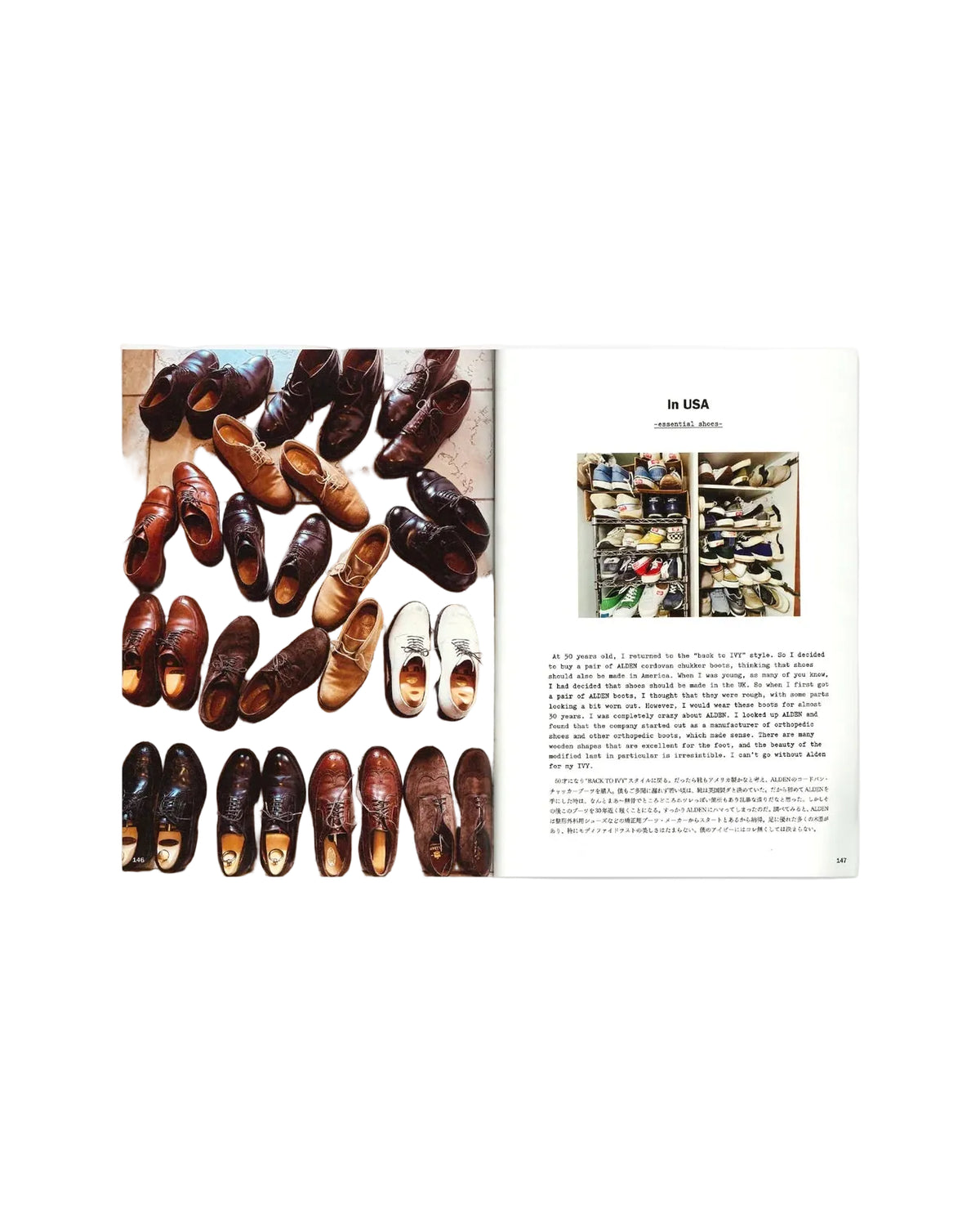In Love With Ivy Book Directror`s Cut