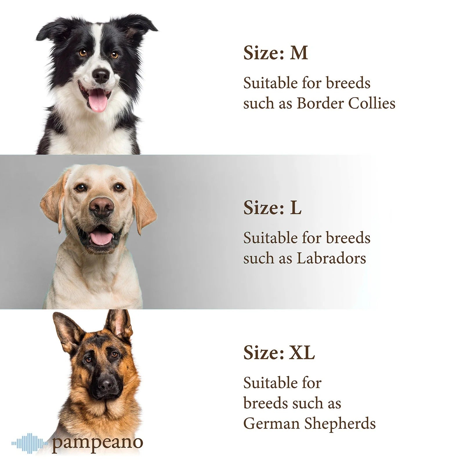 Pampeano Dog Collar Azules