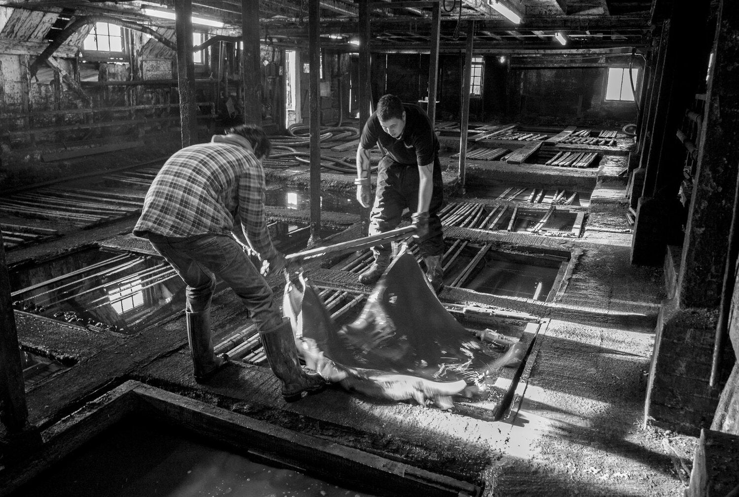 The Rope Oak Tanned Bridle Butt Quick Release Belt Dark Stain